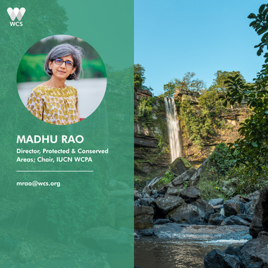 WCS CBD COP17 Quote Cards - Madhu Rao
